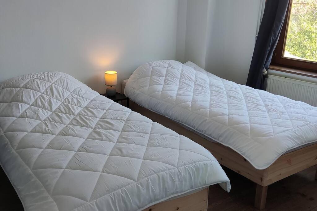 Maison Ronchin/Lille - Proche Toutes Commodites Bagian luar foto